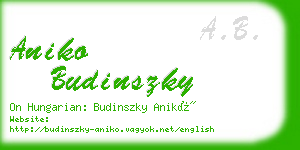 aniko budinszky business card